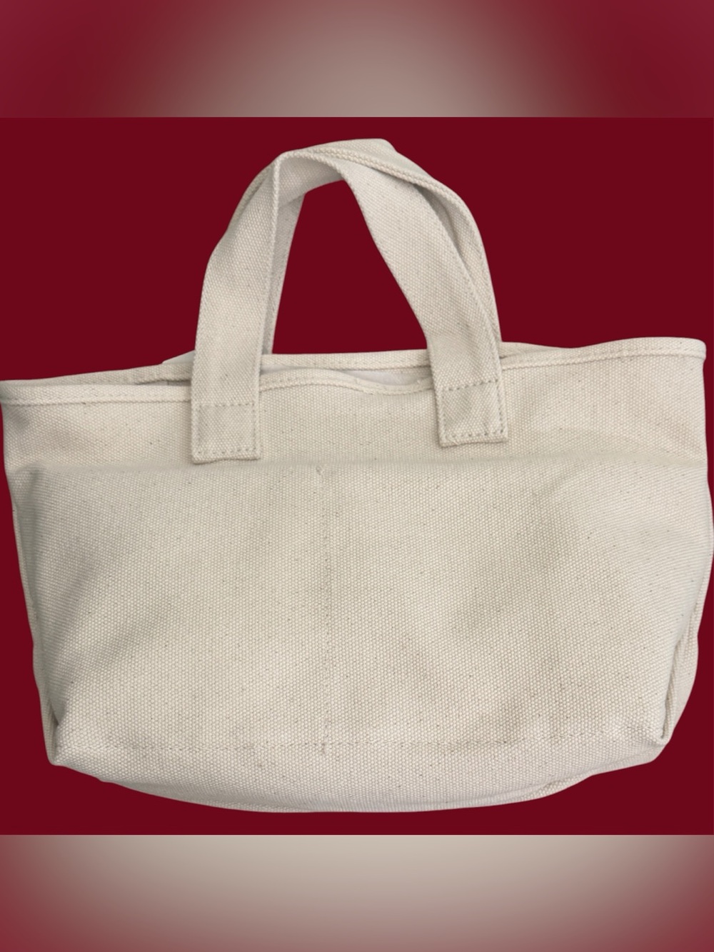 NWT Parke x Target Mini Canvas Tote - Picture 2 of 6